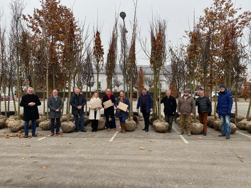 Unternehmen Cells+Tissuebank Austria unterstützt Wagramgemeinden bei Baumpflanzaktion